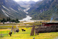 Market Snapshot: Mongolia