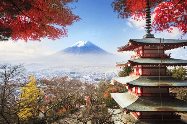 Japan well on its way to 300,000 international students