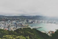  New Zealand opens up to international students and updates policies for post-study work rights